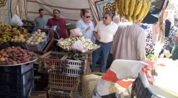 محافظ الدقهلية يتفقد منفردا سوق اليوم الواحد وعدد من منافذ البيع