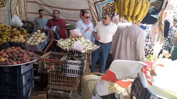 محافظ الدقهلية يتفقد منفردا سوق اليوم الواحد وعدد من منافذ البيع محافظ الدقهلية يتفقد منفردا سوق اليوم الواحد وعدد من منافذ البيع