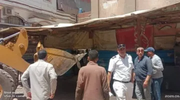 محافظ الدقهلية يتابع أعمال اليوم الأول لتنفيذ الموجة الـ26 لإزالة التعديات