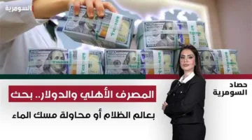 المصرف الأهلي والدولار: استكشاف في عالم الغموض أو محاولة لاحتواء المستحيل