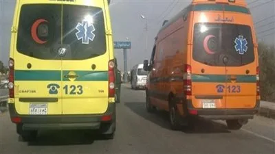 مصرع شخصين في حادث تصادم بكفرالشيخ مصرع شخصين في حادث تصادم بكفرالشيخ