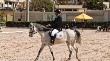 اليوم..إنطلاق نهائي بطولة الجمهورية للفروسية لقادرون باختلاف لذوي الهمم