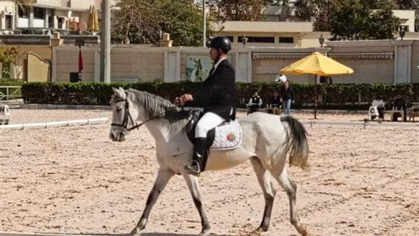 اليوم..إنطلاق نهائي بطولة الجمهورية للفروسية لقادرون باختلاف لذوي الهمم اليوم..إنطلاق نهائي بطولة الجمهورية للفروسية لقادرون باختلاف لذوي الهمم