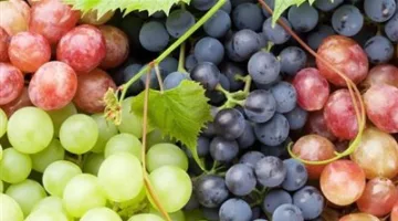 بعد وصوله لـ 150 جنيه.. موعد انخفاض سعر العنب