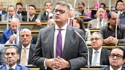 طارق رضوان: مشروع قانون الفتوى ينظم حالة الفوضى المنتشرة في المجتمع طارق رضوان: مشروع قانون الفتوى ينظم حالة الفوضى المنتشرة في المجتمع