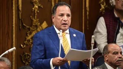 النائب محمد أبو هميلة: مشروع قانون الفتوى يواجه الفتاوى الشاذة النائب محمد أبو هميلة: مشروع قانون الفتوى يواجه الفتاوى الشاذة