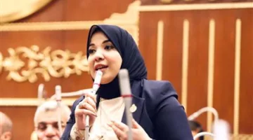 النائبة دينا هلالي: زيادة ميزانية "تكافل وكرامة" يعكس توجه الدولة نحو تنمية الإنسان المصري كأولوية رئيسية