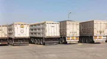 محافظ المنيا: شون وصوامع المحافظة تستقبل 249 ألف طن قمح