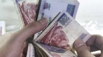 سر تراجع الحكومة عن تحويل الدعم العينى إلى النقدى