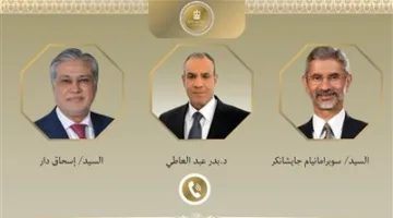 «يجب إعلاء لغة الحوار».. وزير الخارجية يجري اتصالين هاتفيين مع نظيريه الهندي والباكستاني