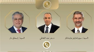 «يجب إعلاء لغة الحوار».. وزير الخارجية يجري اتصالين هاتفيين مع نظيريه الهندي والباكستاني