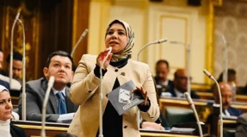 نائبة التنسيقية هيام الطباخ: قانون تنظيم الفتوى يضع حداً لفوضى الفتاوى ويعزز المرجعية الدينية الرسمية