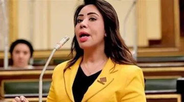 غادة علي "نائبة التنسيقية ": إتفاقية البنك الأوربي تأتي تيسيراً لطرح المشروعات الاستثمارية بمشاركة القطاع الخاص