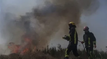 في الديوانية.. إخماد حريق في محصول القمح