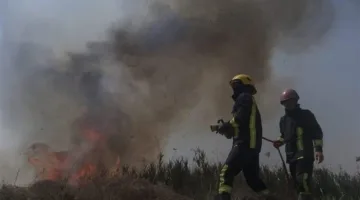 في الديوانية.. إخماد حريق في محصول القمح
