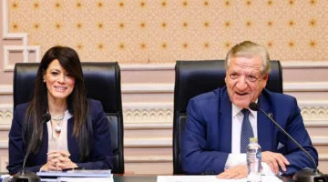 المشاط: نسعى لرفع نسبة الاستثمارات الخاصة إلى 63% في خطة العام المالي القادم