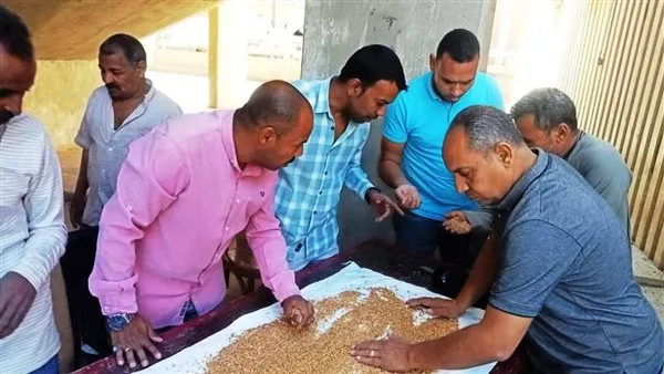 صوامع وشون أسوان تستقبل 257,440 طن من القمح صوامع وشون أسوان تستقبل 257,440 طن من القمح