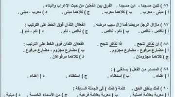 الثانوية العامة 2025: 100 سؤال وحل في النحو – امتحانك في متناول يدك