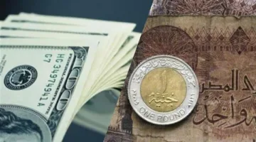 انخفاض جديد في سعر الدولار يتراوح بين 5 و7 قروش