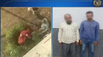 بعد تداول فيديو الحادثة.. القبض على المعتدين على سيدة في الدقهلية.