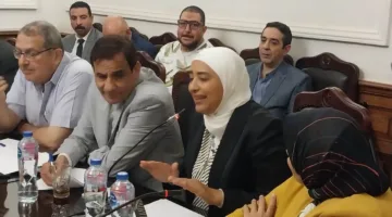 حزب الوفد: نبحث قانون الإيجار القديم في إطار تنفيذ حكم المحكمة الدستورية