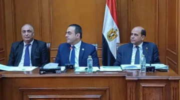 محمد فكري يقدم استراتيجية لتحسين الشباب والرياضة أمام لجنة النواب ويحظى بتأييد وموافقة.