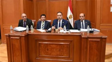 شباب النواب يوافقون على ميزانية استاد القاهرة ورئيس اللجنة: إنه مشروع وطني يتمتع بموارد استثنائية