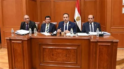 شباب النواب يوافقون على ميزانية استاد القاهرة ورئيس اللجنة: إنه مشروع وطني يتمتع بموارد استثنائية