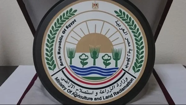 إرشادات فنية لمزارعي التفاح في شهر مايو إرشادات فنية لمزارعي التفاح في شهر مايو