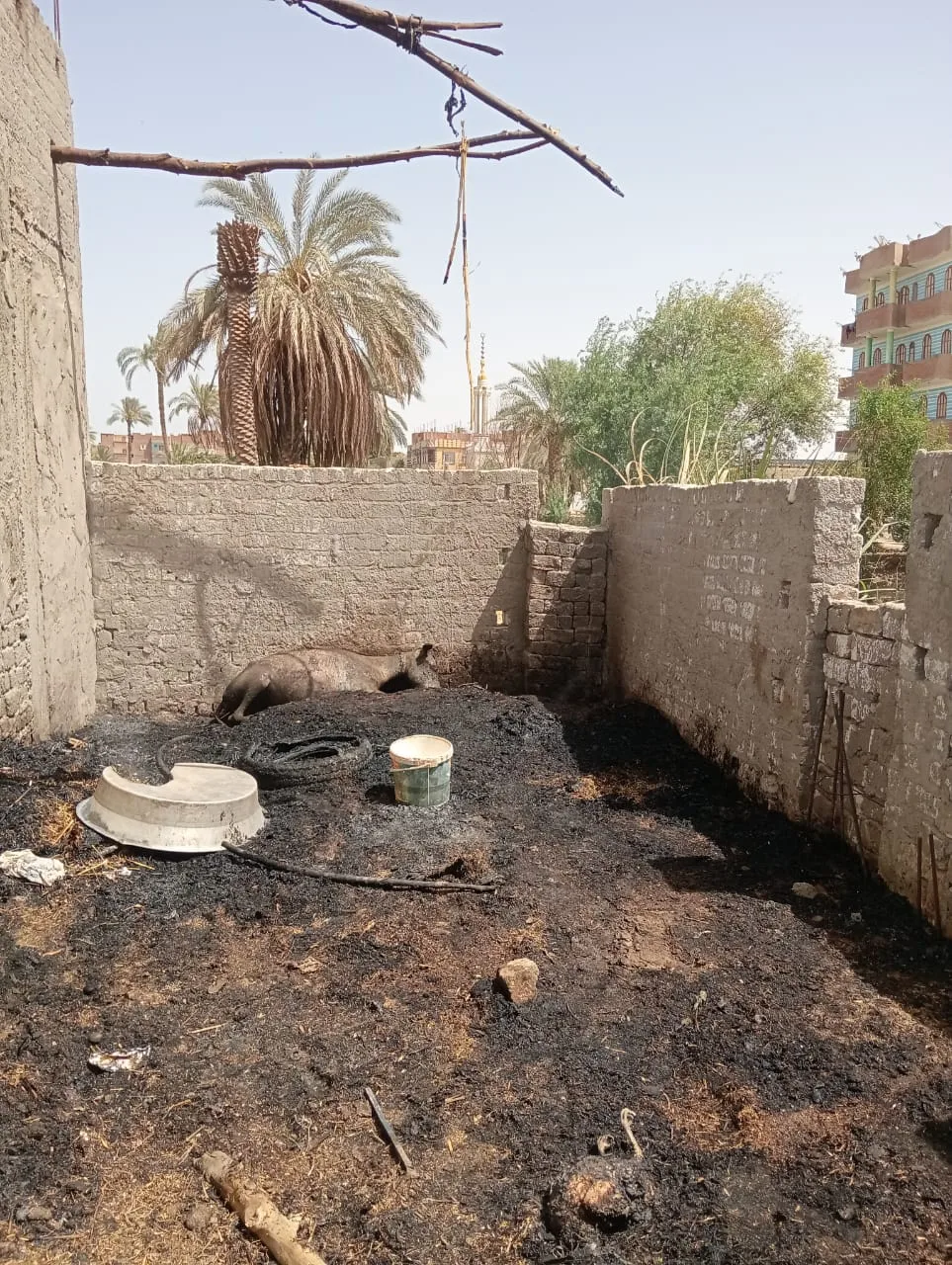 استخدام سيارة إطفاء للسيطرة على حريق اندلع في ثلاثة منازل بسوهاج استخدام سيارة إطفاء للسيطرة على حريق اندلع في ثلاثة منازل بسوهاج
