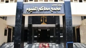 اليوم.. محاكمة الشخص المتهم بإصابة مراسلة صحفية في حادث دراجة نارية بالفيوم