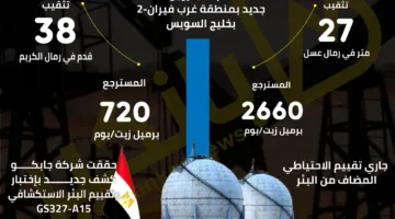 مصر تزيد من انتاجها من النفط والغاز بفضل اكتشافات جديدة | إنفوجراف