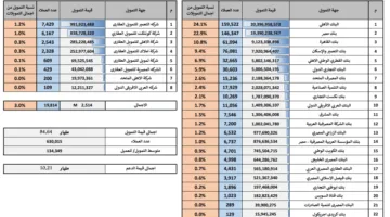 الأهلي يتصدر القائمة.. نعرض حصص البنوك والشركات في مبادرة المركزي لدعم محدودي ومتوسطي الدخل