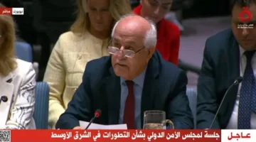 رياض منصور: خطة إسرائيل لتقديم المساعدات في غزة “غير مقبولة دولياً” (فيديو)