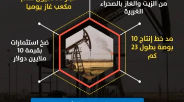 اكتشاف كبير لموارد النفط والغاز في مصر | انفوجرافيك
