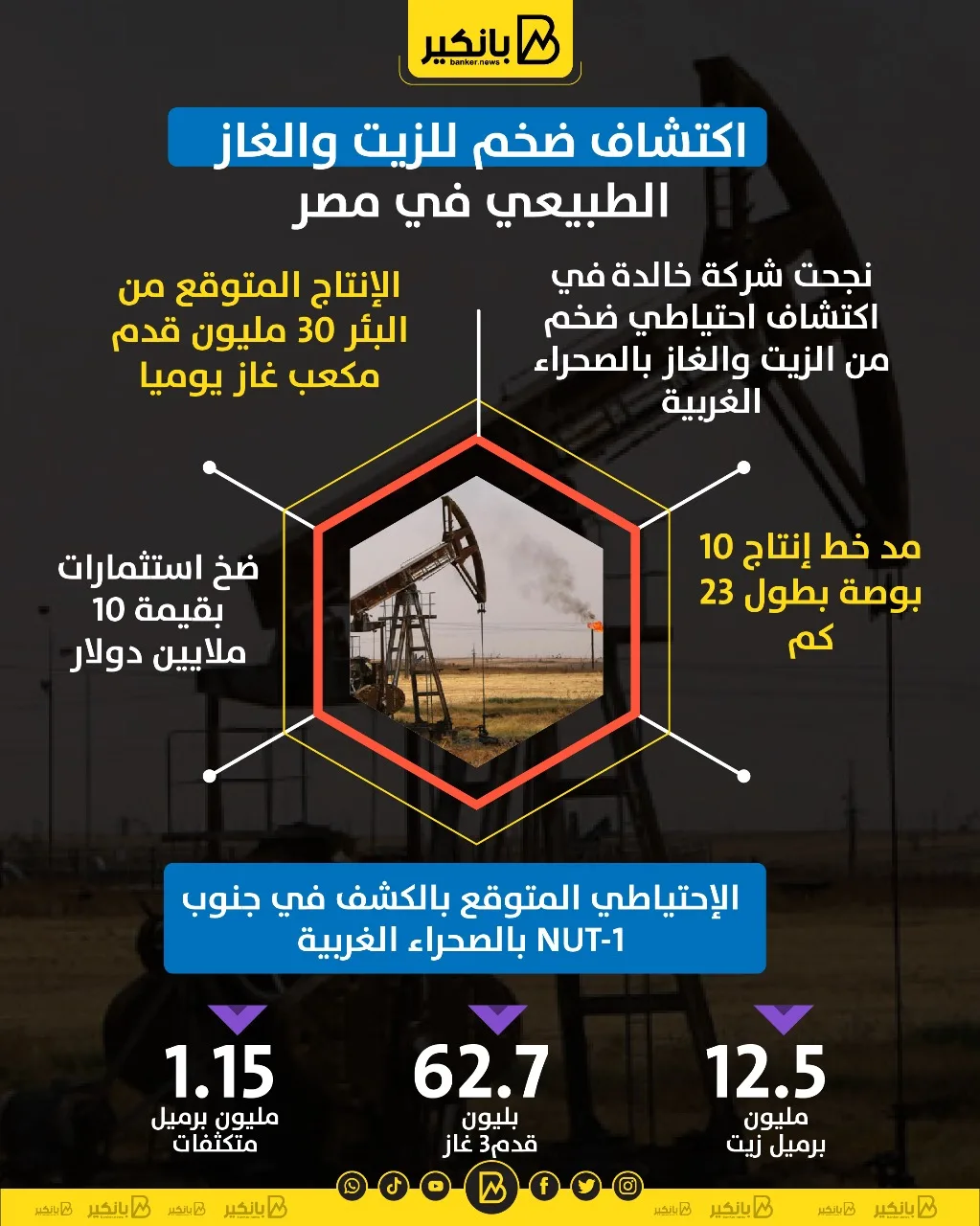 اكتشاف كبير لموارد النفط والغاز في مصر | انفوجرافيك