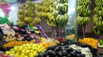أسعار الفواكه والخضروات في مطروح ليوم الأربعاء 14 مايو 2025