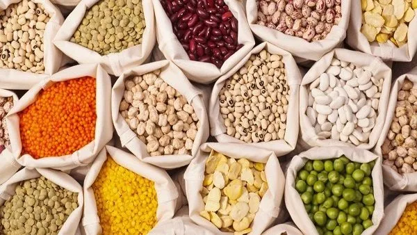 أسعار الحبوب في أسواق البحر الأحمر اليوم السبت 24 مايو 2025 أسعار الحبوب في أسواق البحر الأحمر اليوم السبت 24 مايو 2025