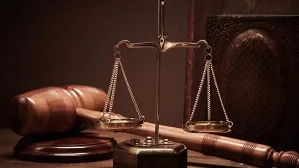 حكم بالسجن 15 عاماً على عصابة مختصة في سرقة الماشية بالعياط حكم بالسجن 15 عاماً على عصابة مختصة في سرقة الماشية بالعياط
