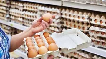 مخاطر تناول البيض بشكل مفرط