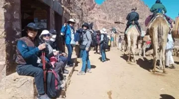 308 زائرين يتوافدون إلى المعالم الدينية في مدينة سانت كاترين