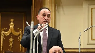 نائب يتحدث عن زيادة الرواتب: “ما تقدمه الدولة باليد اليمنى يختطفه التجار باليد اليسرى”