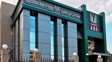تشكيل إداري جديد للبنك الزراعي المصري: أبو السعود في منصب الرئيس التنفيذي وعبد الصادق وغادة مصطفى كنائبين له