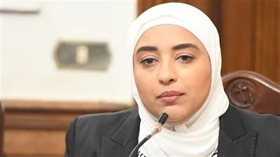 النائبة أميرة أبوشقة: مشروع قانون الحكومة بشأن الإيجارات القديمة يحتوي على نقاط ضعف قانونية بارزة. النائبة أميرة أبوشقة: مشروع قانون الحكومة بشأن الإيجارات القديمة يحتوي على نقاط ضعف قانونية بارزة.