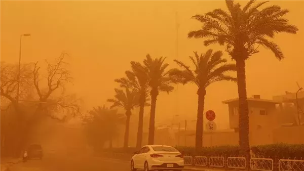 العواصف الرملية: تهديدات سامة تحاصر طرقنا بلا سابق إنذار (تقرير) العواصف الرملية: تهديدات سامة تحاصر طرقنا بلا سابق إنذار (تقرير)