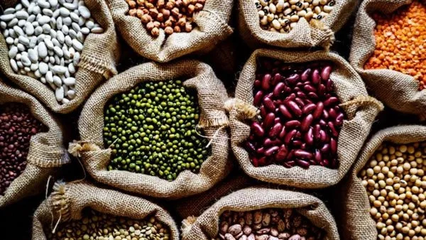 أسعار البقوليات في محافظة الغربية اليوم الجمعة أسعار البقوليات في محافظة الغربية اليوم الجمعة