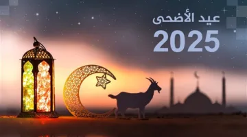 تاريخ عيد الأضحى 1446 ويوم وقفة عرفات.. وأفضل الأعمال في الأيام العشر الأولى من ذي الحجة