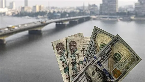 الجنيه يستعيد سلطته: الأسباب وراء الارتفاع الكبير لتدفقات الدولار إلى مصر الجنيه يستعيد سلطته: الأسباب وراء الارتفاع الكبير لتدفقات الدولار إلى مصر