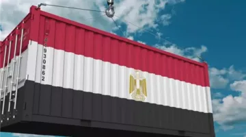 6.1 مليار دولار في عام واحد.. صادرات الغذاء المصرية تصل إلى الأسواق العالمية