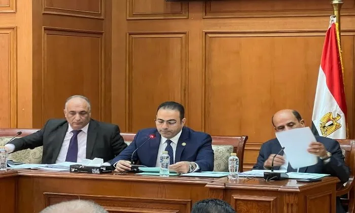 مديرية الشباب والرياضة في بورسعيد تستعرض ميزانيتها أمام مجلس النواب مديرية الشباب والرياضة في بورسعيد تستعرض ميزانيتها أمام مجلس النواب